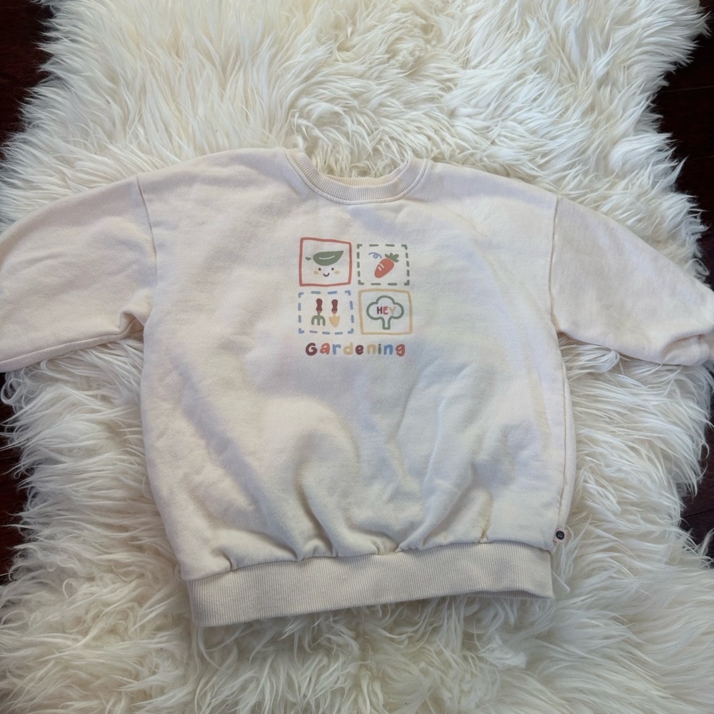 Korean style hoodie 4T